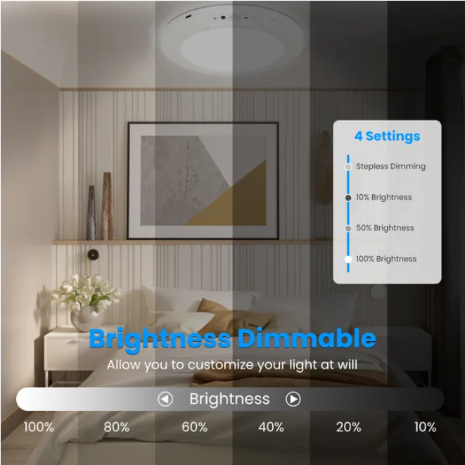 Rechargeable Motion Sensor Ceiling Light