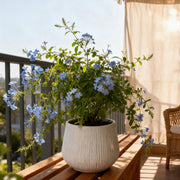 11Dia X 9.06 H Large Round Planters For Indoor Plants, Outdoor Planters With Drainage Holes, Magnesium Oxide Plant Pot W
